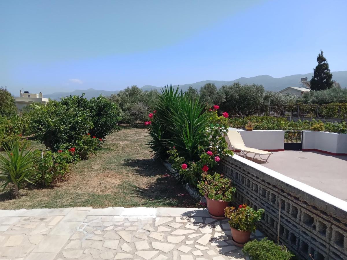 סיטייה Villa Ampelia מראה חיצוני תמונה