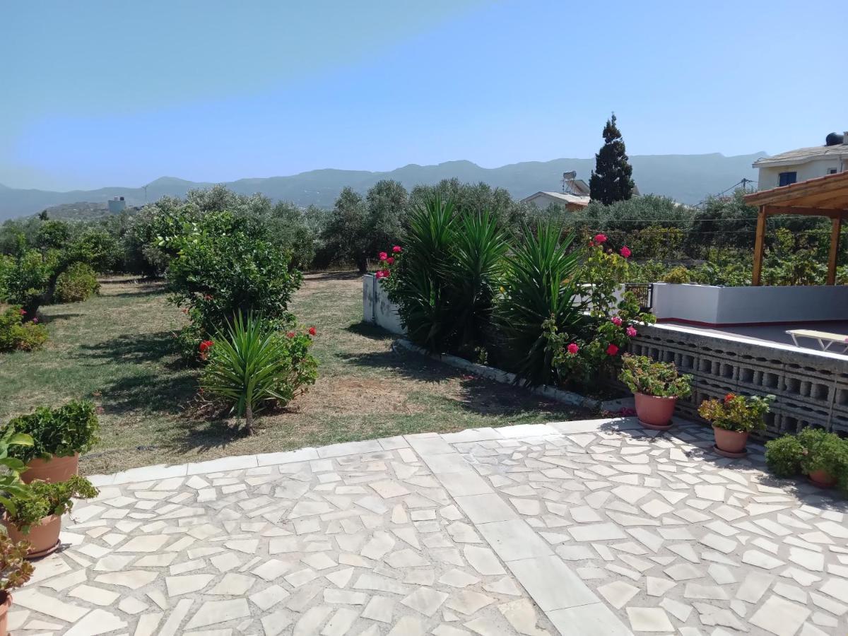 סיטייה Villa Ampelia מראה חיצוני תמונה